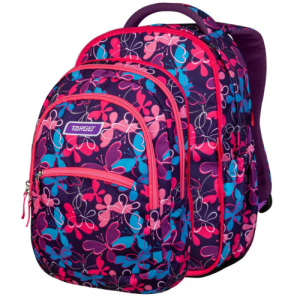Target Backpack 2 In 1, Large 3 Zip Butterflies